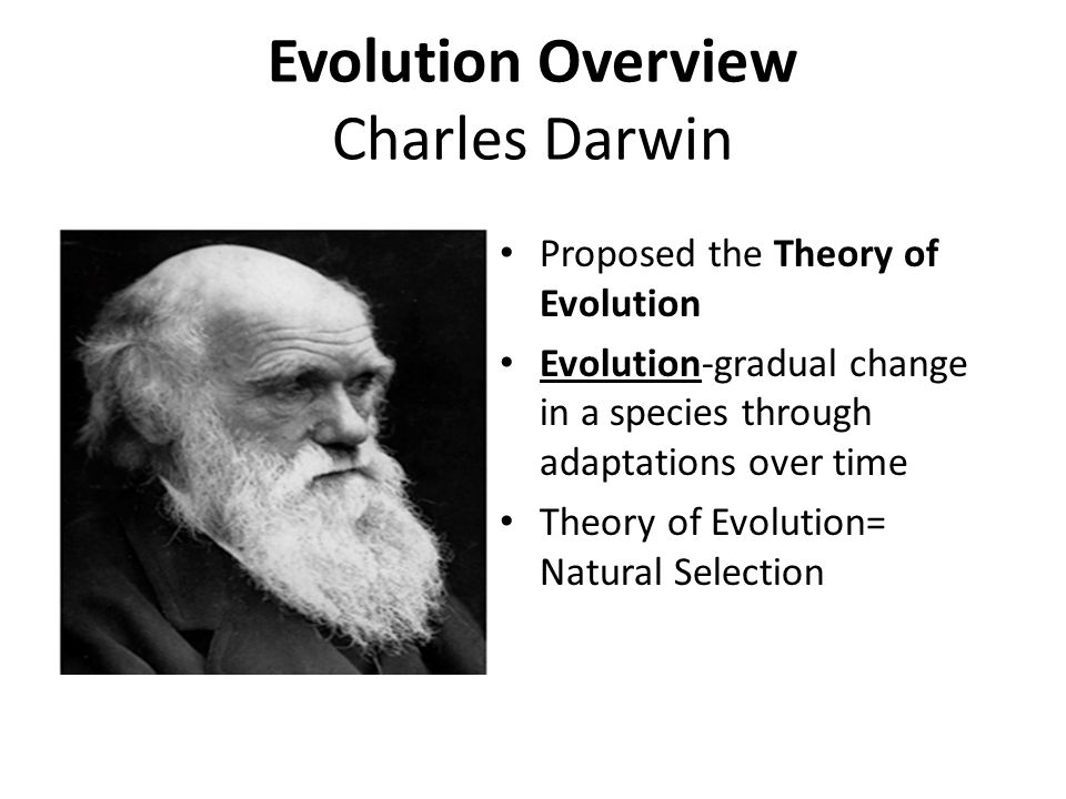An overview of the theory of evolution